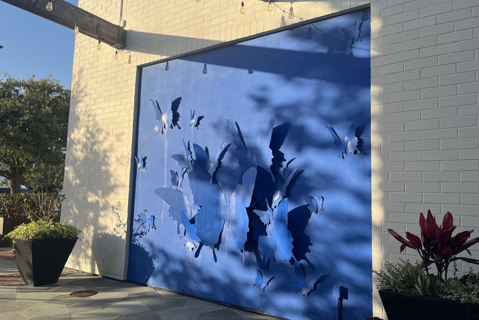 A large panel of cut blue butterflies mounted on a wall beside planters and string lights.